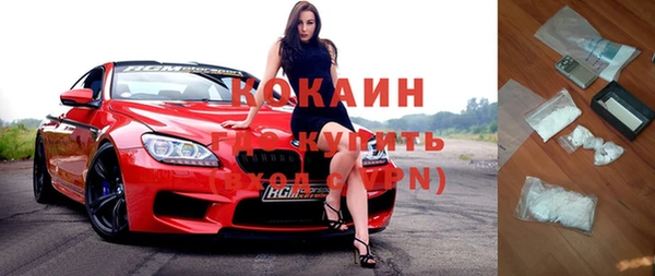 дурь Гатчина