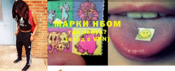 дурь Няндома