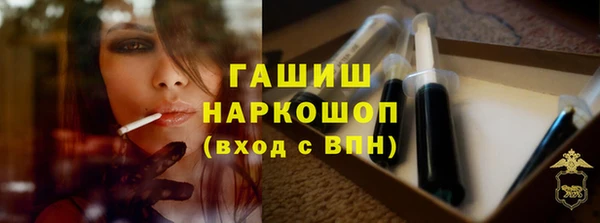 дурь Няндома
