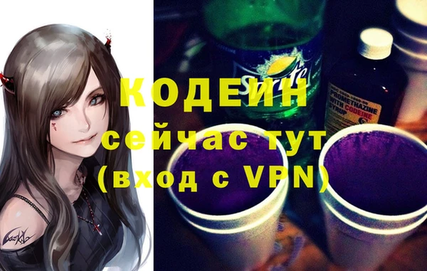 дурь Няндома