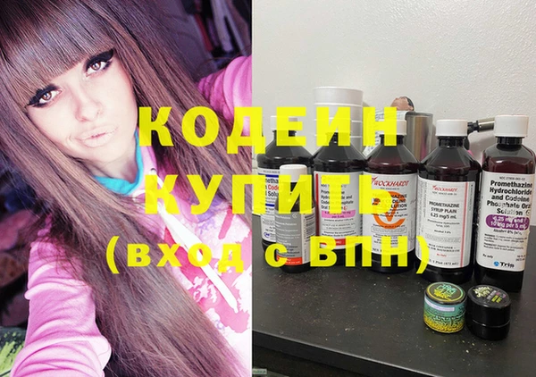 дурь Няндома