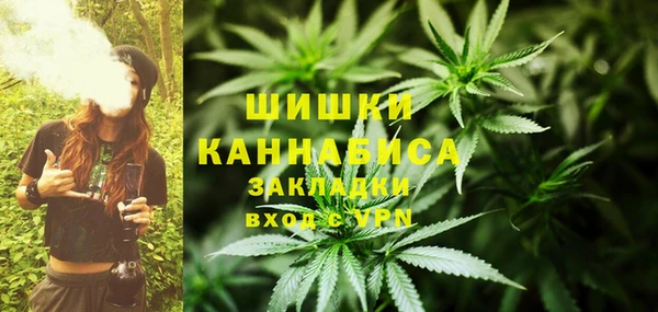 дурь Гатчина