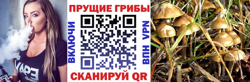 Псилоцибиновые грибы Psilocybine cubensis  наркота  Лобня 