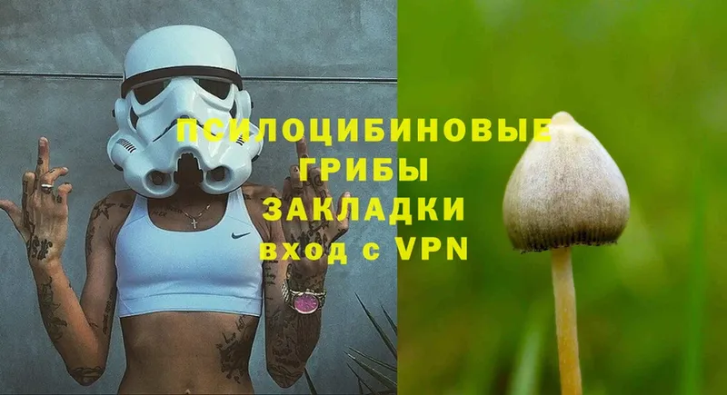 даркнет официальный сайт  Лобня  Галлюциногенные грибы Psilocybe 