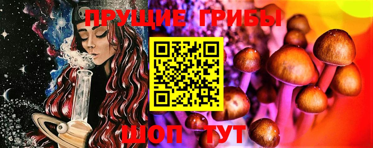 Лобня  Галлюциногенные грибы Psilocybine cubensis  Вход с VPN 